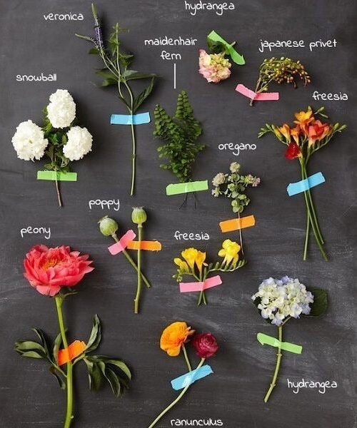 Florist Box™ Selection