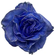 Dyed Roses