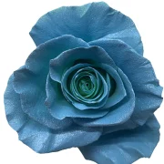 Dyed Roses