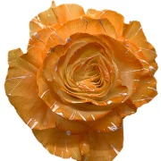 Dyed Roses