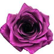 Dyed Roses