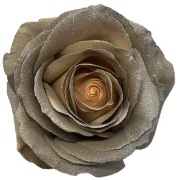 Dyed Roses