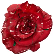 Dyed Roses
